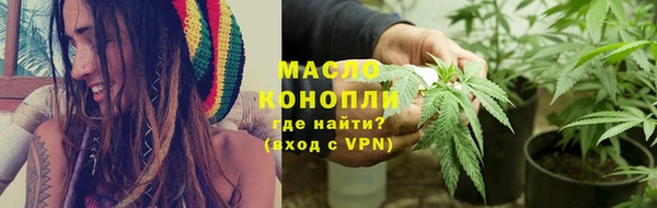 индика Пересвет