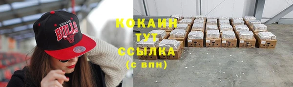 индика Пересвет