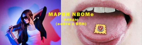 индика Пересвет