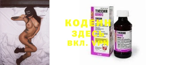 индика Пересвет