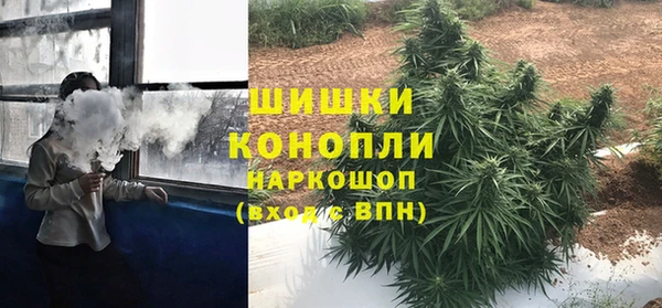 ПСИЛОЦИБИНОВЫЕ ГРИБЫ Пестово