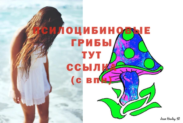 прущая мука Переславль-Залесский