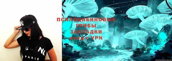 индика Пересвет