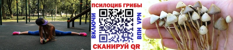 даркнет сайт  Владивосток  Галлюциногенные грибы MAGIC MUSHROOMS 