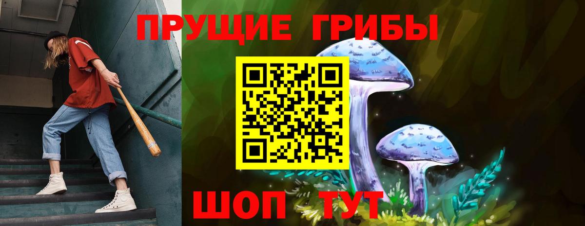 Псилоцибиновые грибы Magic Shrooms Владивосток